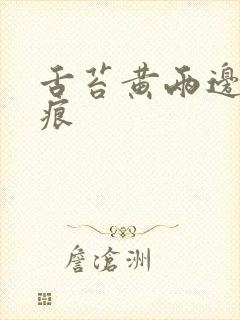 舌苔黄两边有齿痕封面