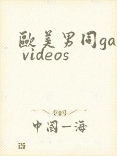 欧美男同gay videos