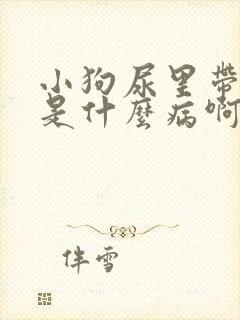 小狗尿里带点血是什么病啊