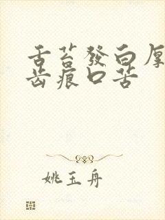 舌苔发白厚腻有齿痕口苦