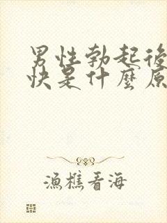 男性勃起后软的快是什么原因