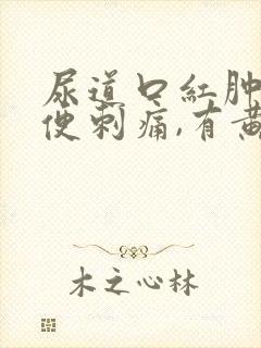 尿道口红肿,小便刺痛,有黄色分泌物封面