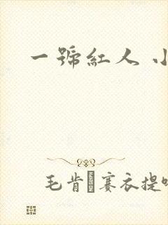 一号红人 小说