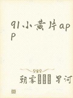 91小黄片app封面
