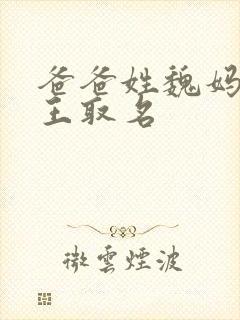 爸爸姓魏妈妈姓王取名封面