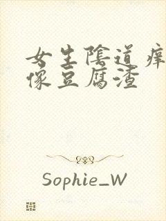 女生阴道痒白带像豆腐渣