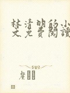 林清明的小说全文免费阅读无弹窗下载