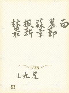 林枫苏慕白穿越最新章节