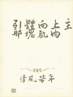 引体向上主要靠哪块肌肉