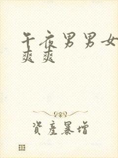 午夜男男女女爽爽爽封面