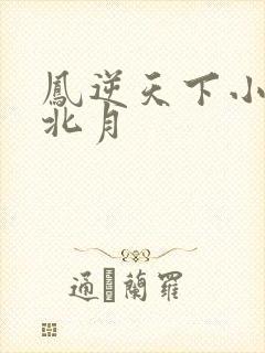 凤逆天下小说凰北月