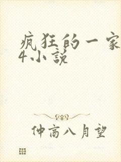 疯狂的一家ps4小说封面