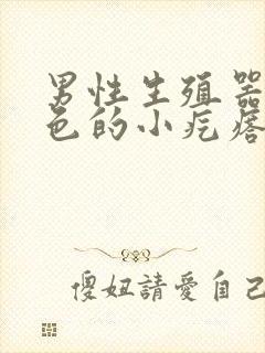 男性生殖器起红色的小疙瘩痒