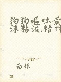 狗狗呕吐黄水泡沫粘液,精神食欲却很好