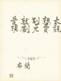 爱就别想太多电视剧免费观看全集