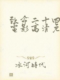 致命二十四小时电影高清免费观看