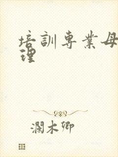 培训专业母婴护理