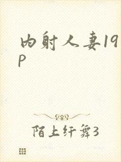 内射人妻19 p