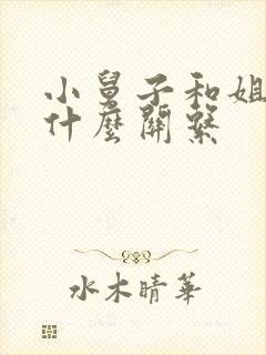 小舅子和姐夫叫什么关系