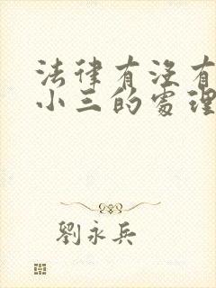 法律有没有关于小三的处理