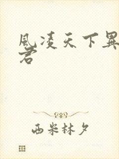 风凌天下异世邪君