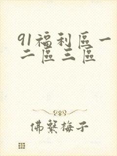 91福利区一区二区三区封面