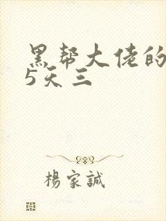 黑帮大佬的365天三