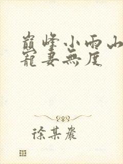 巅峰小雨山里汉宠妻无度