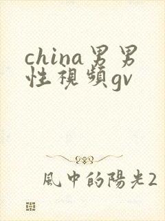 china男男性视频gv
