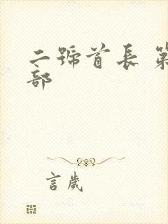 二号首长 第四部封面