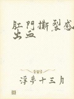 肛门撕裂感大便出血