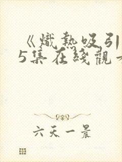 《炽热吸引》25集在线观看封面