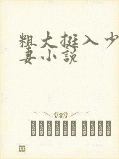 粗大挺入少妇人妻小说封面