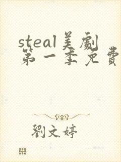 steal美剧第一季免费观看