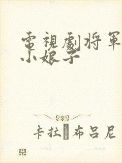 电视剧将军家的小娘子