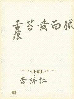 舌苔黄白腻有齿痕