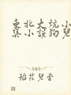东北大炕小说合集小说狗儿
