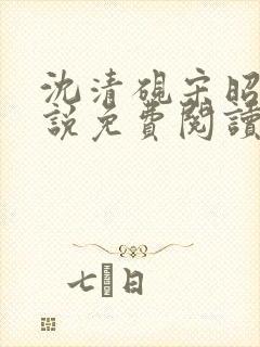 沈清砚宋昭汐小说免费阅读最新章节