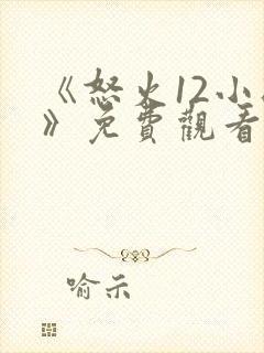 《怒火12小时》免费观看完整版