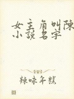 女主角叫陈念的小说名字封面