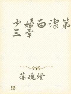 少妇白洁第二十三章