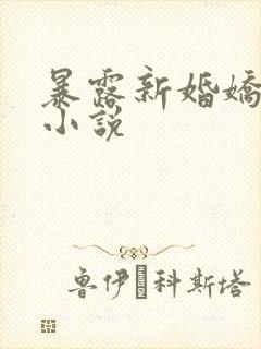 暴露新婚娇妻的小说