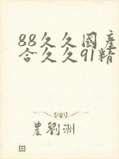 88久久国产综合久久91精品