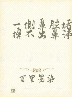 一侧鼻腔堵塞但擤不出鼻涕