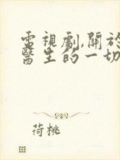 电视剧,关于唐医生的一切