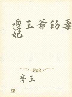 傻王爷的毒医狂妃