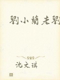 刘小兰老刘小说