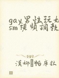 gay男性玩奴sm视频调教