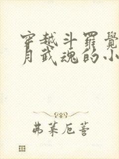 穿越斗罗觉醒日月武魂的小说