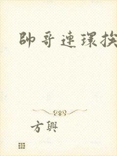 帅哥连环挨操记封面